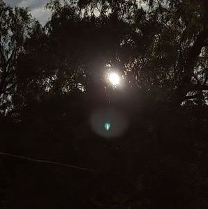 Meet your Posher, Carolyn